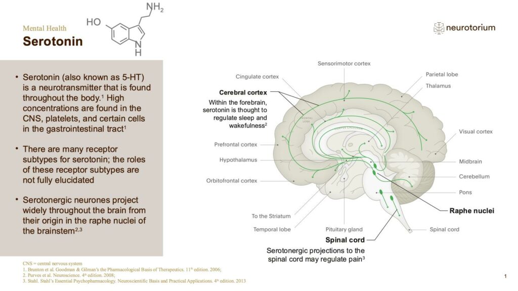Mental Health - Fundamentals of Neurobiology - slide 18